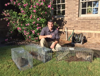 Raccoon Removal Montgomery, Prattville, Millbrook, Wetumpka, & Pike Road, AL